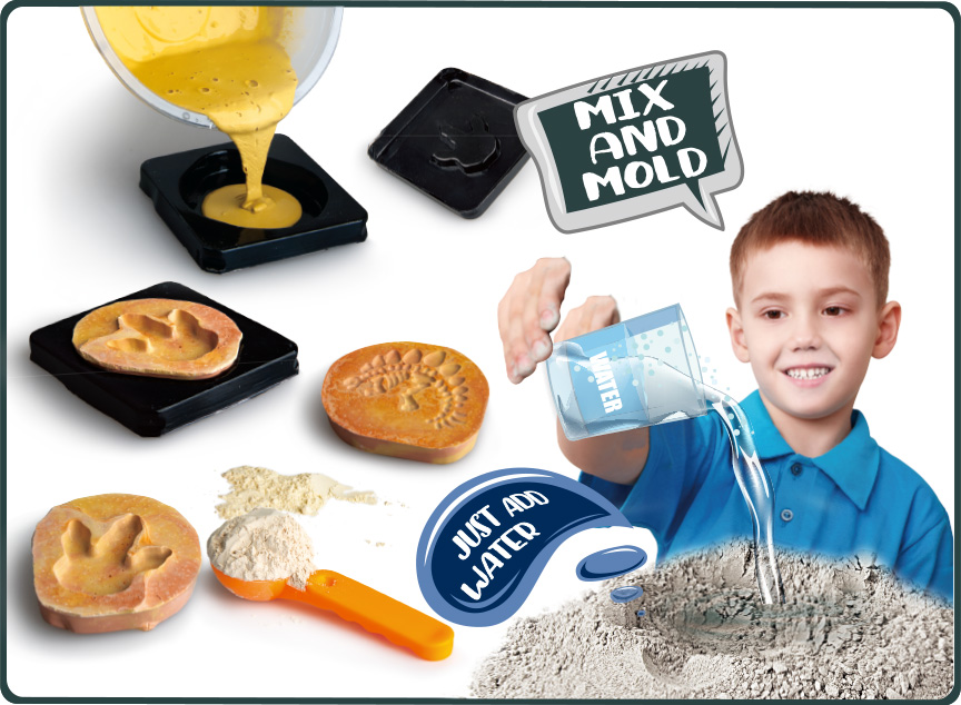 Fossils Dinosaur Tracks Magic Cement